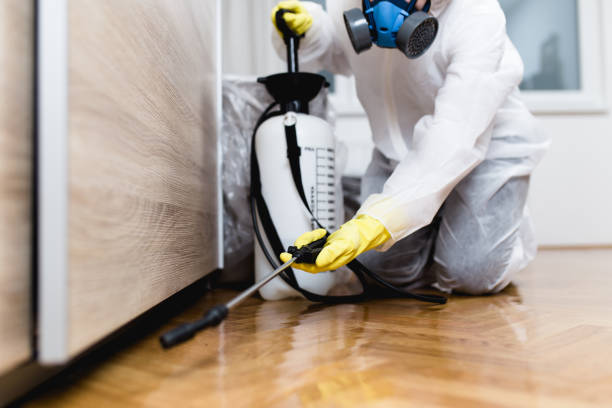 Best Pest Control for Homes  in Rapids, NY