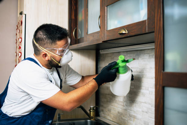 Pest Control for Restaurants in Rapids, NY