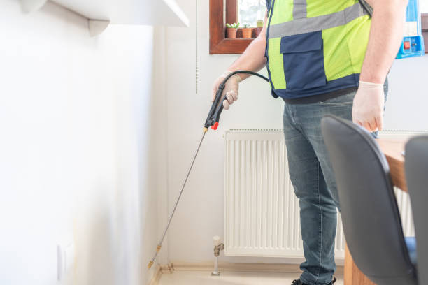 Best Local Pest Control Services  in Rapids, NY