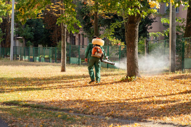 Best Emergency Pest Control  in Rapids, NY