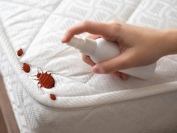 Best Pest Control Treatment  in Rapids, NY