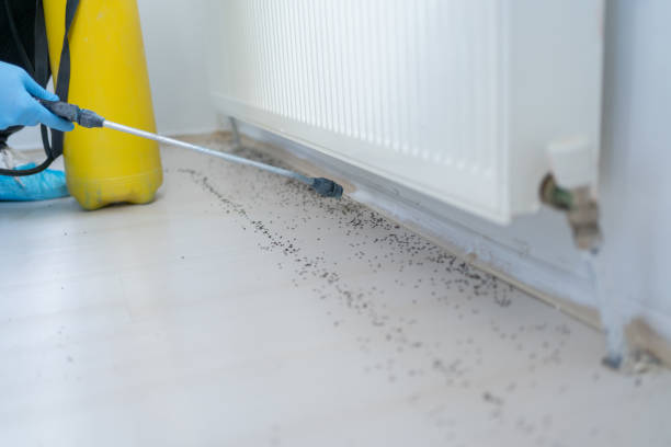 Best Best Pest Control Companies  in Rapids, NY
