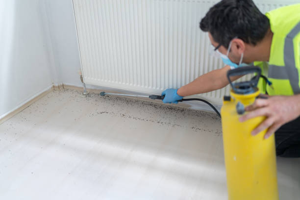 Best Pest Prevention Services  in Rapids, NY