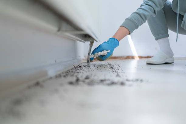 Best Pest Removal Services  in Rapids, NY