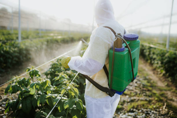 Best Mosquito Control Services  in Rapids, NY